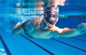 Image result for Long Distance Ocean Swimming