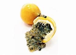 Image result for Fruit Panipe