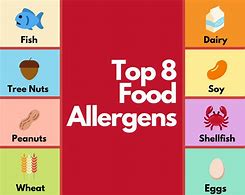 Image result for Types of Food Allergies