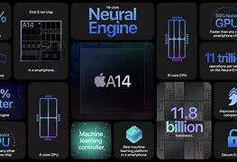 Image result for Back of a iPhone 12