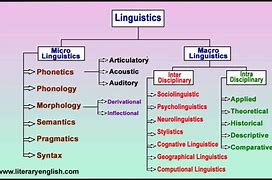 Image result for What Are Linguistics