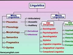 Image result for Fields of Linguistics