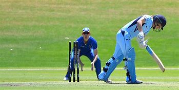 Image result for Types of Out in Cricket