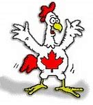 Image result for Chicken Sports Logo