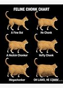Image result for Degree of Chomk Cat Meme