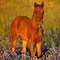 Image result for Horse and Moutains Screensaver