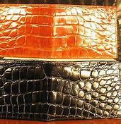 Image result for Difference Between Crocodile and Alligator Skin