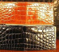 Image result for Difference Between Crocodile and Alligator Skin
