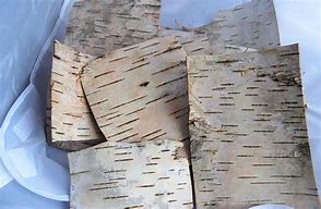 Image result for Birch Wood Pieces