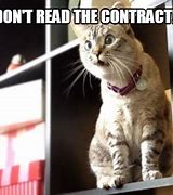 Image result for Cat Contrats Meme