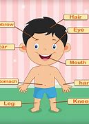 Image result for Human Body Parts Worksheets for Kids
