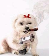 Image result for Dog with Gun Meme