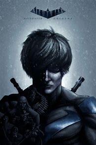 Image result for Nightwing Bludhaven