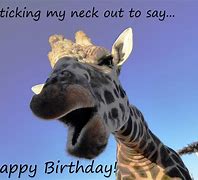 Image result for Funny Happy 70th Birthday Cards