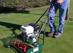 Image result for Motorized Reel Lawn Mowers
