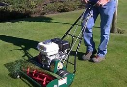 Image result for Best Reel Lawn Mower