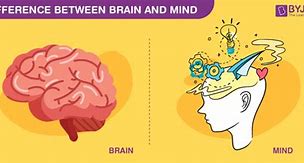 Image result for Mind or Brain