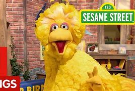 Image result for Sesame Street Big Bird Foot