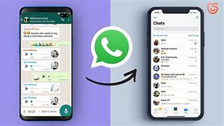 Image result for WhatsApp Android to iPhone