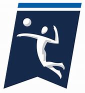 Image result for NCAA Volleyball Logo