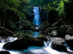 Image result for Nature 1024X768