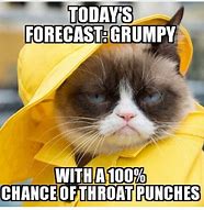 Image result for Grumpy Cat Slogans