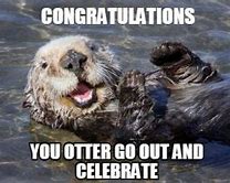 Image result for Congrats Happy for You Meme