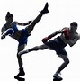 Image result for Kickboxing Photography