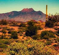 Image result for Arizona USA