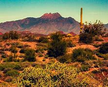 Image result for Arizona Word