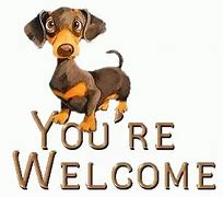 Image result for You're Welcome Cute Animal Meme