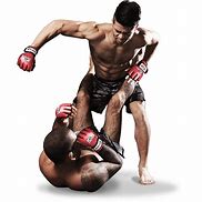 Image result for MMA Karate