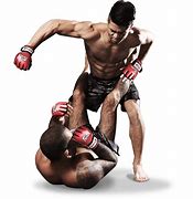 Image result for Mixed Martial Arts