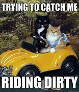 Image result for Funny Cat Memes Dirty