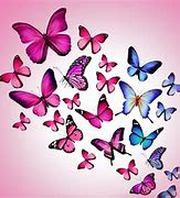 Image result for Mini Butterfly Wallpaper