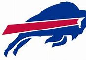 Image result for Buffalo Bills Fans