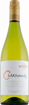 Image result for Cousino Macul Sauvignon Gris