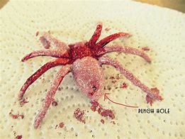 Image result for Realistic Toy Spiders