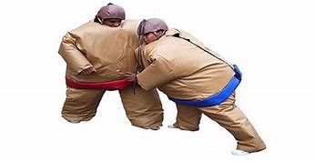 Image result for Sumo Suit Fight