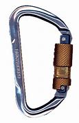 Image result for Fall Protection Carabiners