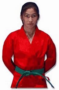 Image result for Martial Arts'