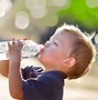 Image result for Happy Children Picking Fruit