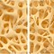 Image result for High Quality Bone Texture