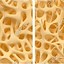 Image result for Bone Cut Texture