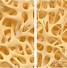 Image result for Bone Texture and Normals