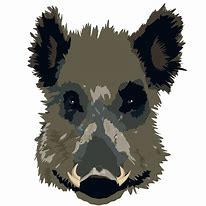 Image result for Boar Head Clip Art