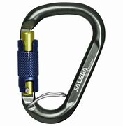 Image result for Belay Carabiner