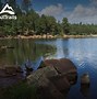 Image result for Arizona Forest