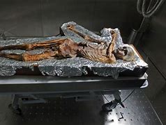 Image result for Mummified Caveman