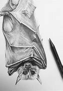 Image result for Bat Sketch Art